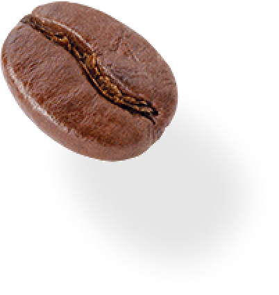 A roasted coffee bean with its shadow on a light background.