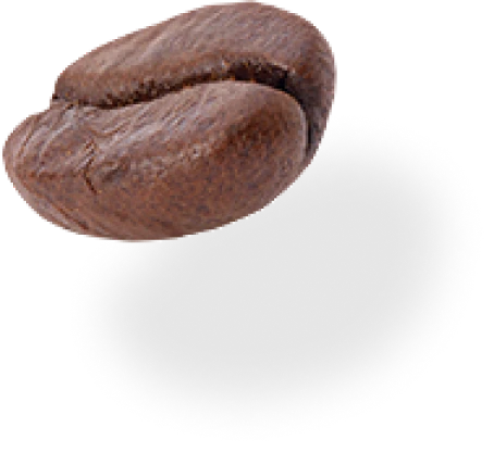 A single coffee bean with a shadow on a white background.